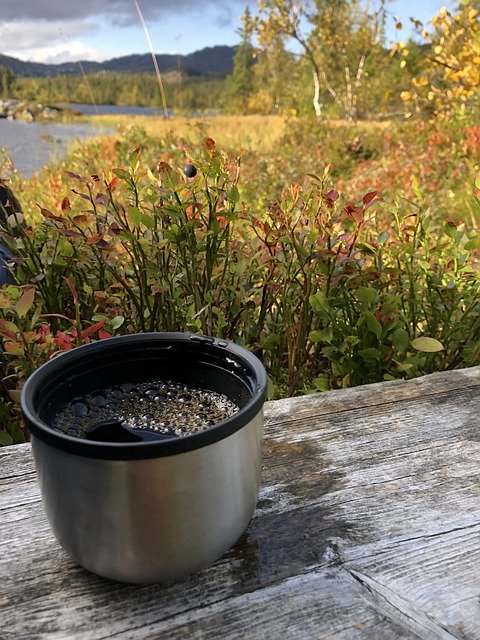 Free download The Nature Of Coffee Outdoors -  free photo or picture to be edited with GIMP online image editor