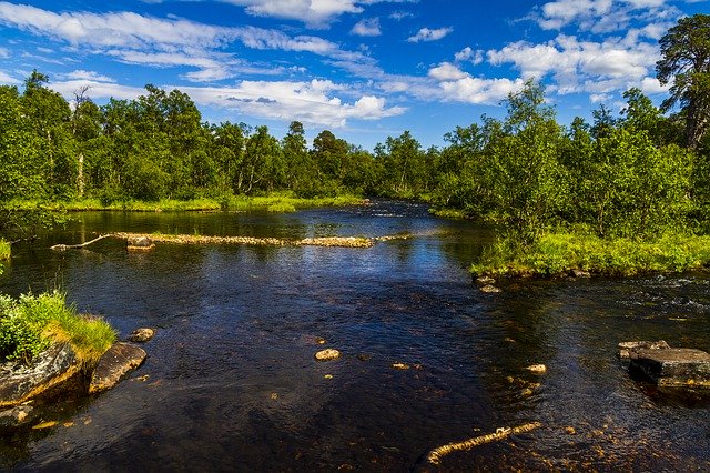 Free download The Nature Of Landscape Trees -  free photo or picture to be edited with GIMP online image editor