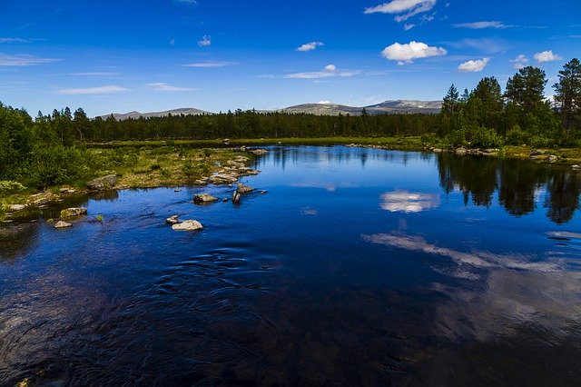 Free download The Nature Of Water Forest -  free photo or picture to be edited with GIMP online image editor