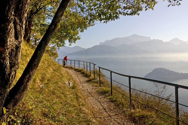 Free download the needle como lombardy italy fog free picture to be edited with GIMP free online image editor