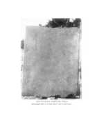 Free download The Nitocris Adoption Stela free photo or picture to be edited with GIMP online image editor