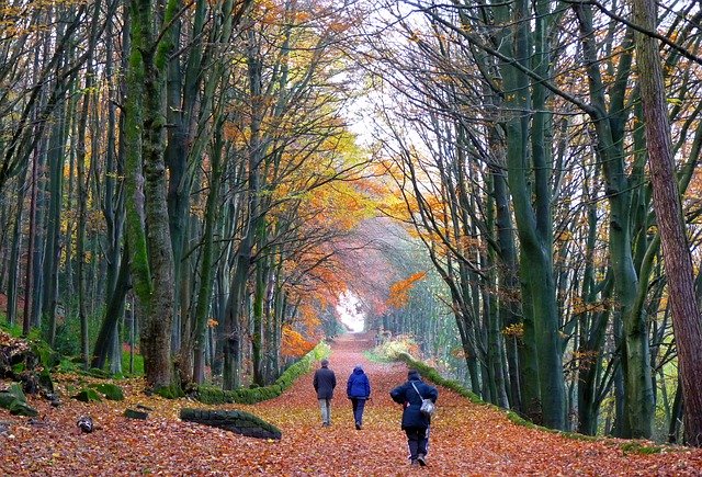 Download grátis The Old Railway Incline Cromford - foto ou imagem gratuita a ser editada com o editor de imagens online GIMP