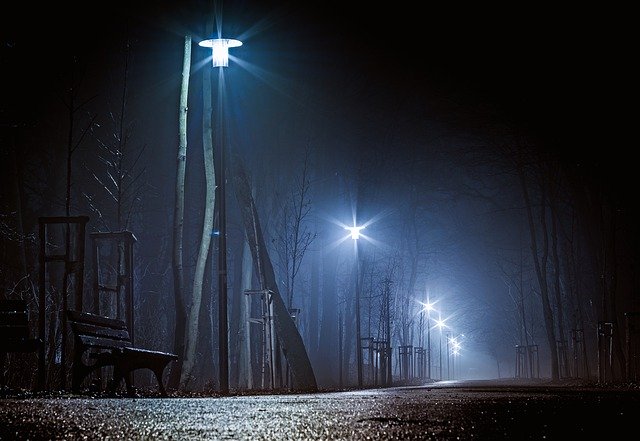Free download The Park At Night Dark Street -  free photo or picture to be edited with GIMP online image editor