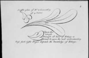 Free download The Principles of Ornament, or the Youths Guide to the Drawing of Foliage free photo or picture to be edited with GIMP online image editor