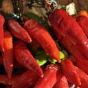 the red peppers were squishy  screen for extension Chrome web store in OffiDocs Chromium