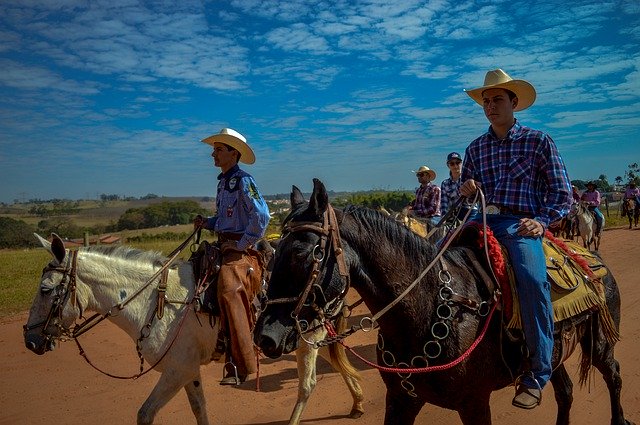 Descărcare gratuită The Ride Rodeo - fotografie sau imagine gratuită pentru a fi editată cu editorul de imagini online GIMP