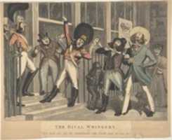 Free download The Rival Whiskers free photo or picture to be edited with GIMP online image editor