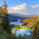 The river flows through the forest  screen for extension Chrome web store in OffiDocs Chromium