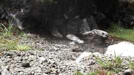 Free download Thermal Water Source Hot -  free video to be edited with OpenShot online video editor
