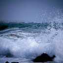 The sea surged to life  screen for extension Chrome web store in OffiDocs Chromium