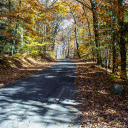 The shady road  screen for extension Chrome web store in OffiDocs Chromium