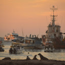 The ship comes ashore  screen for extension Chrome web store in OffiDocs Chromium