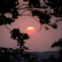 The sun is setting behind trees in the distance  screen for extension Chrome web store in OffiDocs Chromium