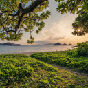 The sun shines through the leaves  screen for extension Chrome web store in OffiDocs Chromium
