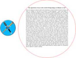 Free download The Superiority Of Races In The World Of Living Beings, Is It Illusion Or Real free photo or picture to be edited with GIMP online image editor