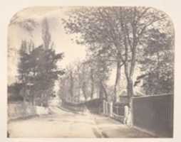 The Time of Promise GIMP online editor free Free download The Time of Promise free photo or picture to be edited with GIMP online image editor