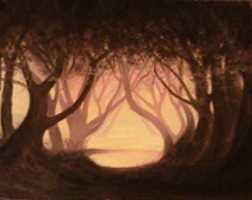 Free download The Trees free photo or picture to be edited with GIMP online image editor