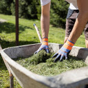 The turtle cart carries grass  screen for extension Chrome web store in OffiDocs Chromium