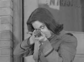 Free download The Twilight Zone - Two free photo or picture to be edited with GIMP online image editor