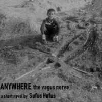 Free download The Vagus Nerve free photo or picture to be edited with GIMP online image editor