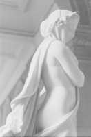 Free download The Veiled Woman free photo or picture to be edited with GIMP online image editor