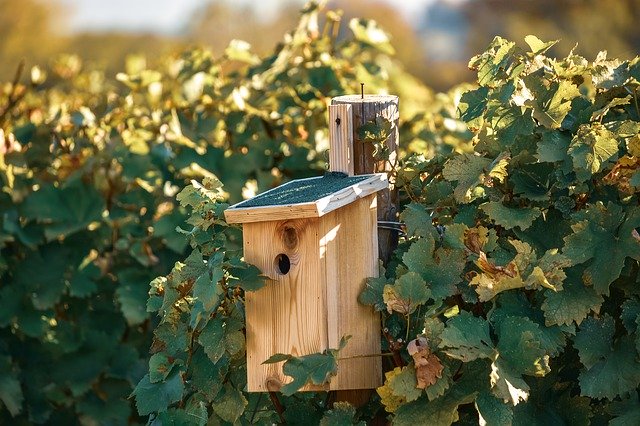 Free download The Vita Vineyard Box -  free photo or picture to be edited with GIMP online image editor