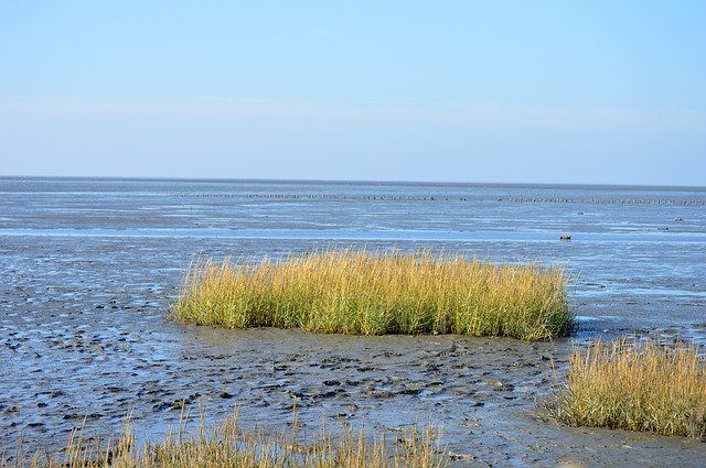 Muat turun percuma The Wadden Sea Of - foto atau gambar percuma untuk diedit dengan editor imej dalam talian GIMP