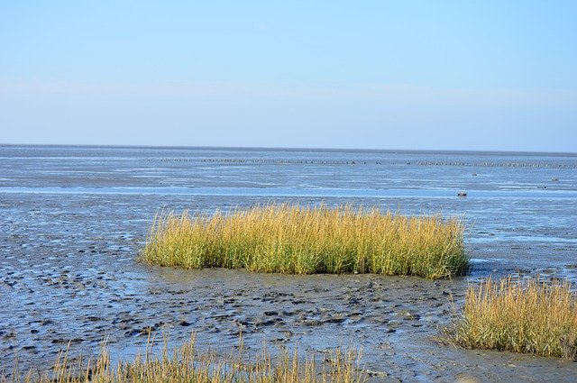 Download grátis The Wadden Sea Of - foto ou imagem gratuita para ser editada com o editor de imagens online GIMP