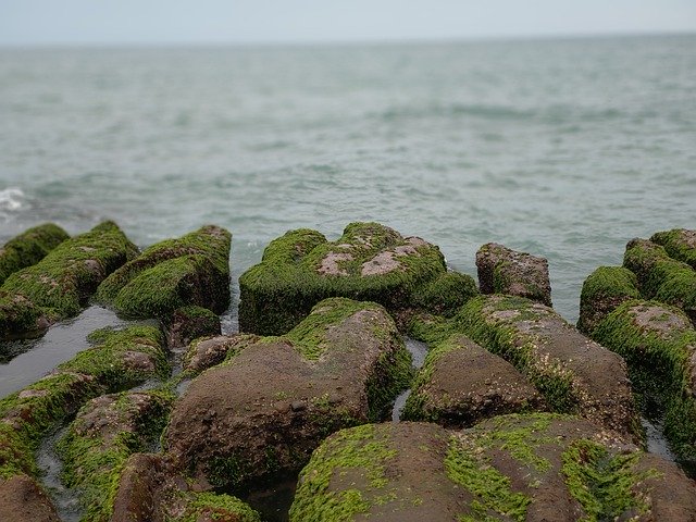 Free download The Waves Reef Rock -  free photo or picture to be edited with GIMP online image editor