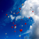 The whole sky of the heart  screen for extension Chrome web store in OffiDocs Chromium