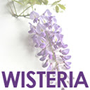THE WISTERIA  screen for extension Chrome web store in OffiDocs Chromium