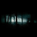 The Woods  screen for extension Chrome web store in OffiDocs Chromium