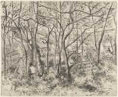 Free download The Woods at LHermitage, Pontoise free photo or picture to be edited with GIMP online image editor