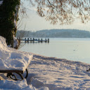 Thick snow covered everywhere  screen for extension Chrome web store in OffiDocs Chromium