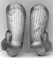 Free download Thigh Defenses (Pair) free photo or picture to be edited with GIMP online image editor