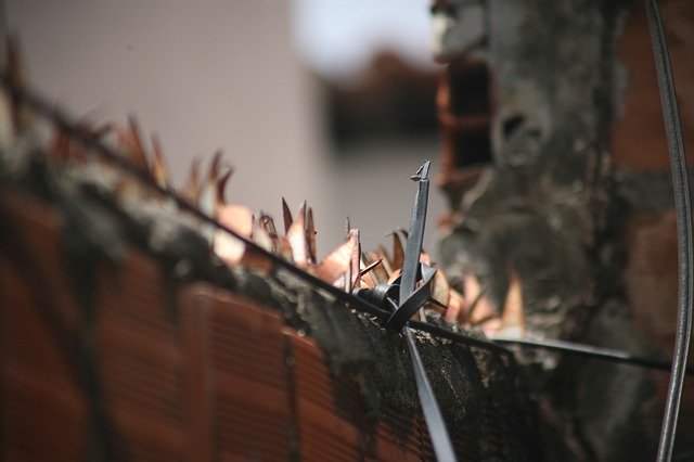 Free download Thorns About Security -  free photo or picture to be edited with GIMP online image editor