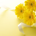 Three Daisy Branches on Yellow  screen for extension Chrome web store in OffiDocs Chromium