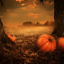 Three giant round pumpkins  screen for extension Chrome web store in OffiDocs Chromium