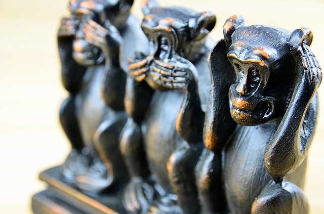 Free download three monkeys three wise monkeys free picture to be edited with GIMP free online image editor