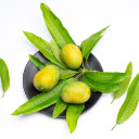 Three ripe mangoes  screen for extension Chrome web store in OffiDocs Chromium