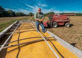 Free download Thumbnail of Chip Bowling, First Vice President of the National Corn Growers Association, on his farm in Newburg, Maryland free photo or picture to be edited with GIMP online image editor