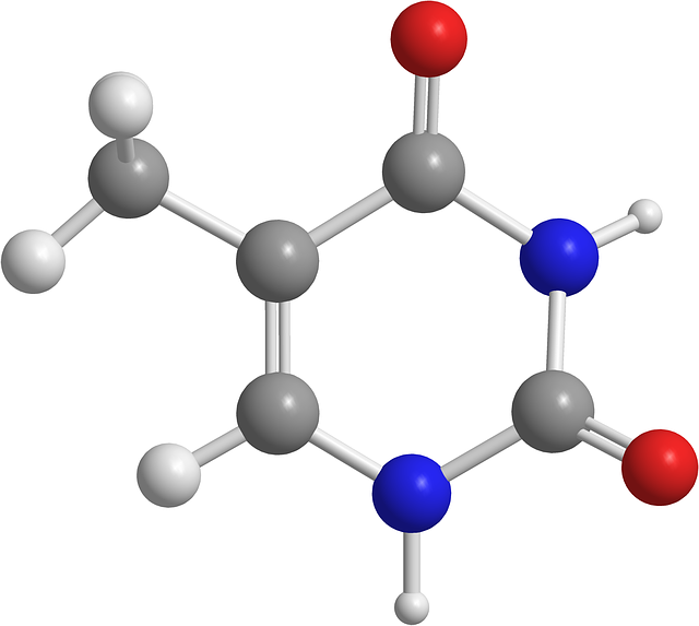 Free download Thymine Nitrogenous Bases Organic -  free illustration to be edited with GIMP free online image editor