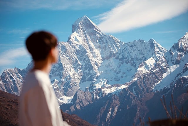 Free download tianshan mountain mountain forest free picture to be edited with GIMP free online image editor