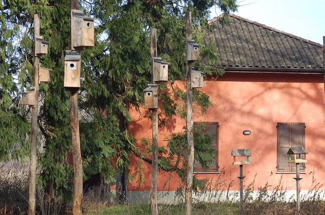 Скачать бесплатно Ticino Park Nests Feeders - бесплатное фото или изображение для редактирования с помощью онлайн-редактора изображений GIMP