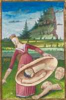 Free download tidy free photo or picture to be edited with GIMP online image editor