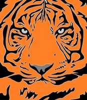Free download tiger-3064427_960_720 free photo or picture to be edited with GIMP online image editor