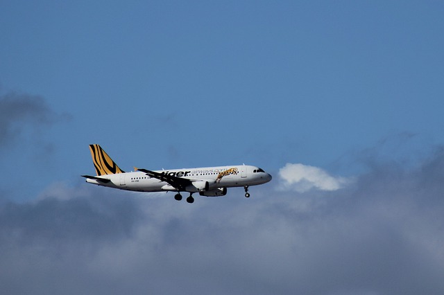 Free download tiger air landing approach budget free picture to be edited with GIMP free online image editor