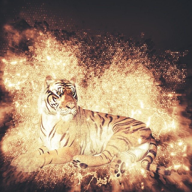 免费下载 Tiger Animal Nature - 可使用 GIMP 在线图像编辑器编辑的免费照片或图片