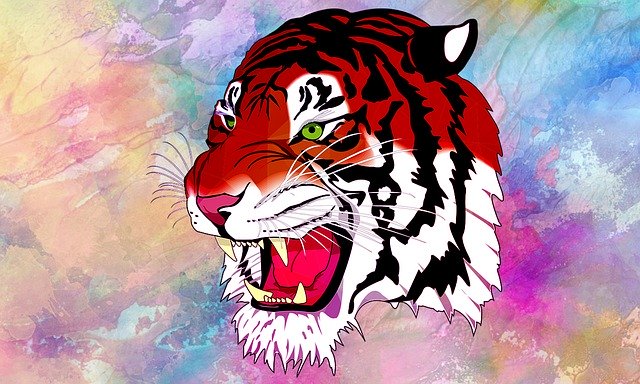 دانلود رایگان Tiger Animal Predator - عکس یا تصویر رایگان قابل ویرایش با ویرایشگر تصویر آنلاین GIMP