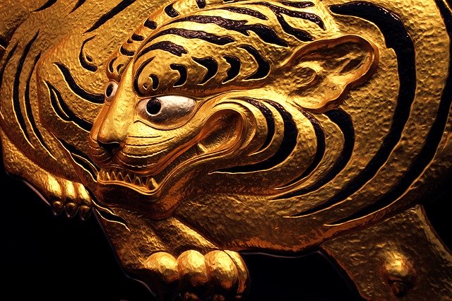 Безкоштовно завантажте Tiger Golden Animal - безкоштовну фотографію або зображення для редагування за допомогою онлайн-редактора зображень GIMP